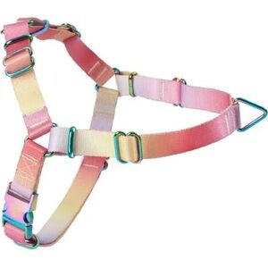 Pastel Rainbow Dog Harness